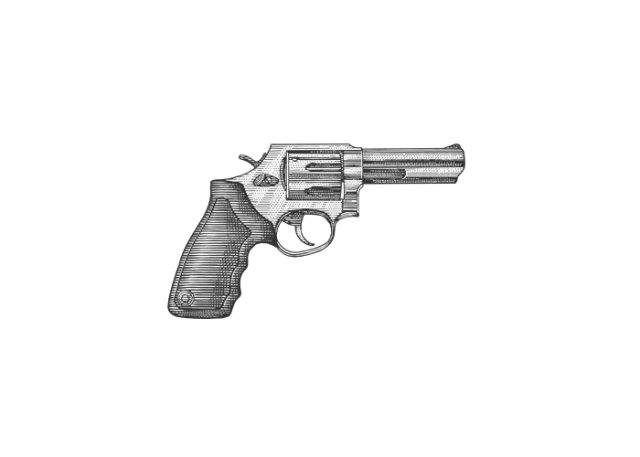 police handgun